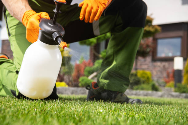 Best Spider Control Near Me  in Arapahoe, WY