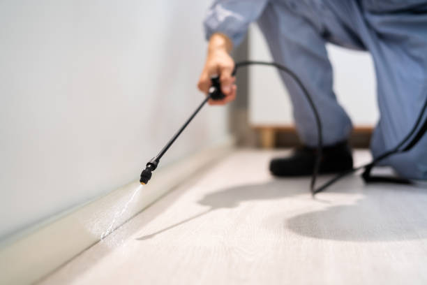 Best Pest Removal Services  in Arapahoe, WY