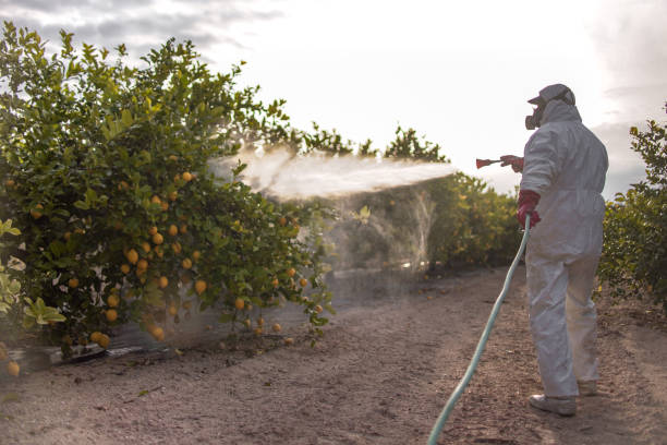 Best Mosquito Control Services  in Arapahoe, WY