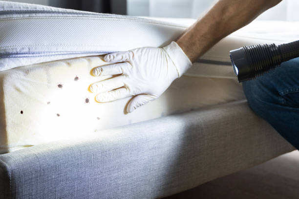 Best Exterminator Services  in Arapahoe, WY