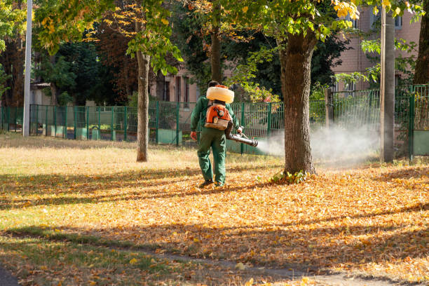 Best Pest Control Treatment  in Arapahoe, WY