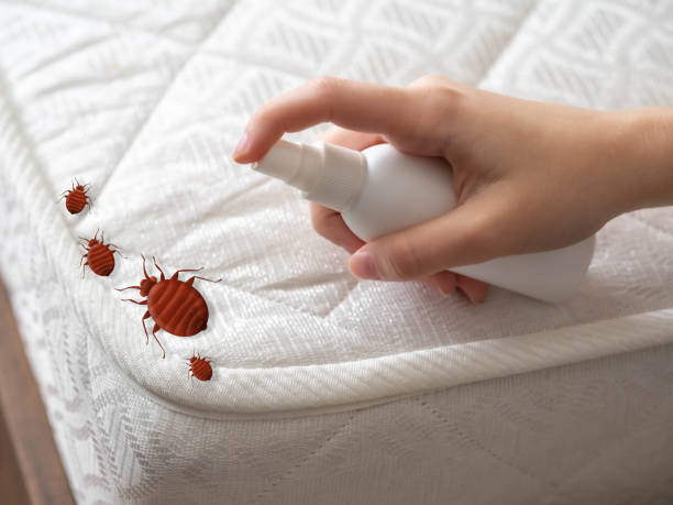 Best Pest Inspection Near Me  in Arapahoe, WY