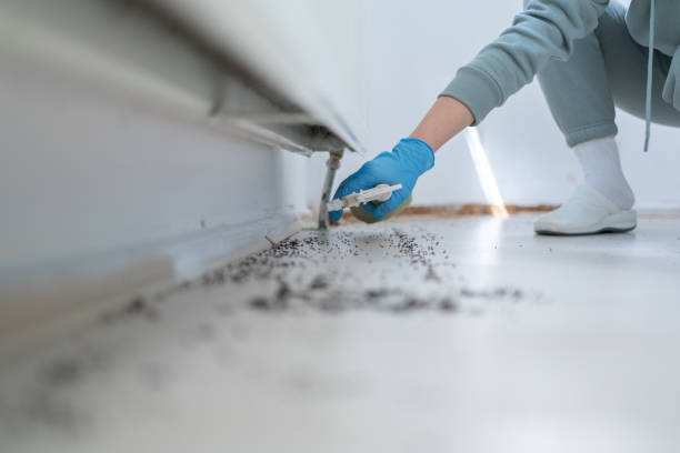 Best Pest Inspection Near Me  in Arapahoe, WY
